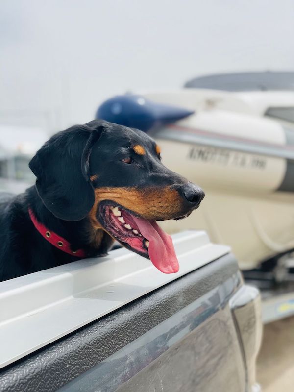 Max