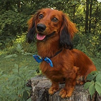 Milo