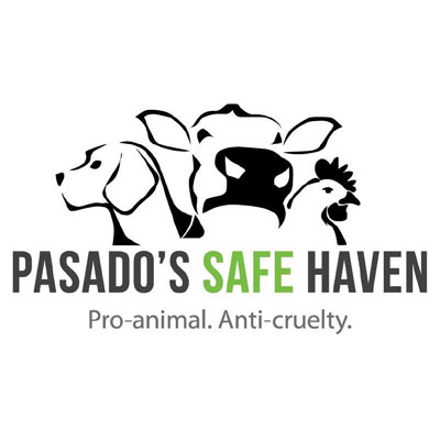 Pasado's Safe Haven