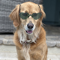 Darla
